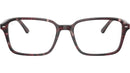 Raimond Optics RB5431 8393