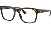RB7228 Optics 2012