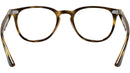 RB7159 Optics 2012