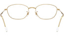 RB3749V Optics 2500