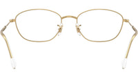 RB3749V Optics 2500