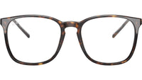 RB5387 Optics 2012