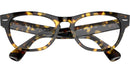 Laramie Optics RB2201V 8116