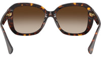 RA5321U 500313 Brown Havana