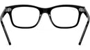 Mr Burbank Optics RB5383 2000