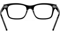 Mr Burbank Optics RB5383 2000