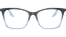 RB5422 Optics 8309