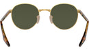 RB3691 001/31 arista