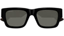 GG1668S 001