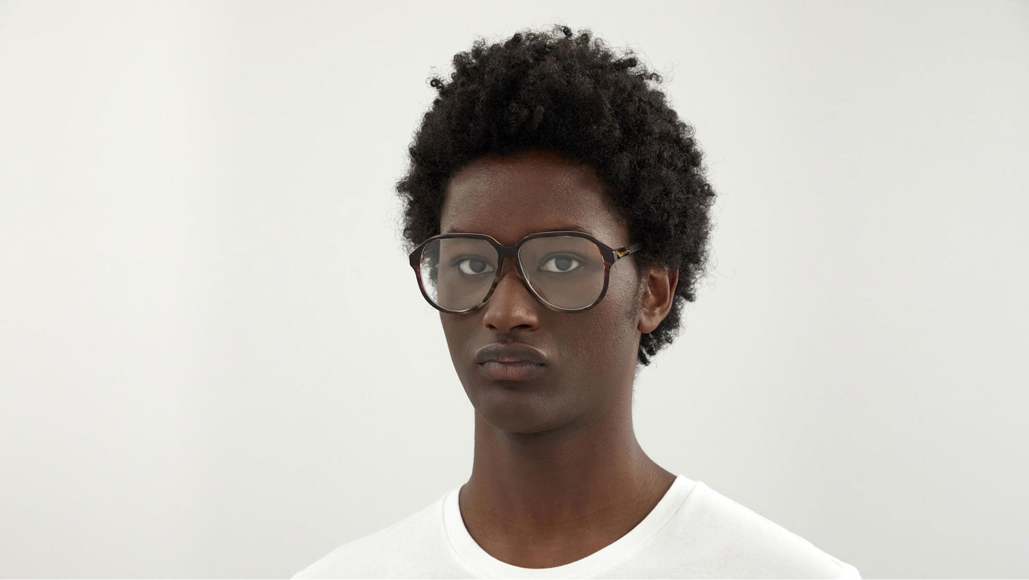 GG1036O 003 brown tortoise