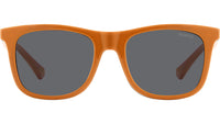 PLD 8055/CS L9G M9