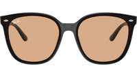 RB4423D 601/93 Black