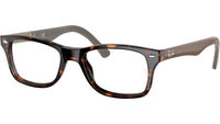 RB5228 Optics 5545