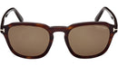 Avery FT0931 52H Havana Brown