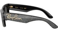 Wayfarer Puffer RB4940BP 686587