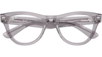 RB5510 Optics 2102