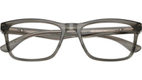 RB5279 Optics 8453