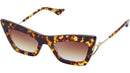 Erasur DTS507 02 Tokyo Tortoise