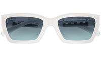 TF4213 83929S Bright White