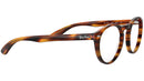 RB5283 striped havana