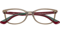 RY1586 3920 Brown
