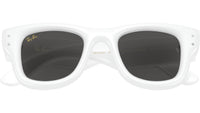 Wayfarer Puffer RB4940B 686387