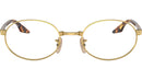 RB6481V Optics 2500