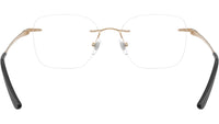 RB8783D Optics 1248
