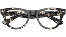 RB5510 Optics 8117