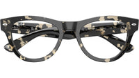 RB5510 Optics 8117