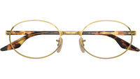 RB6481V Optics 2500