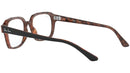 RB5382 Optics 5909
