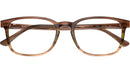 RB5418 Optics 8255
