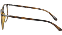 RB7190 Optics 2012