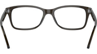 RB5428 Optics 8299
