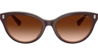 RA5326U 606574 Solid Brown Milky Brown