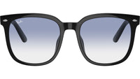 RB4401D 601/19 Black