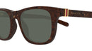 GG1671S 007