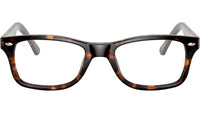 RB5228 Optics 5545