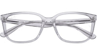 RB7248D Optics 8411