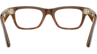 Meta Blayzer Optics Gen2