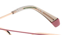 PLD D554 EYR