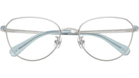 SK1029D 4020