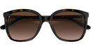 Anaheim MK2137U 300613 Dark Tortoise