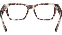 RB5448 Optics 8461