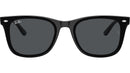 RB4420 601/87 Black