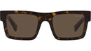 PR 19WS tortoise