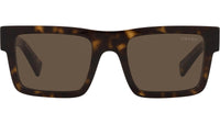 PR 19WS tortoise