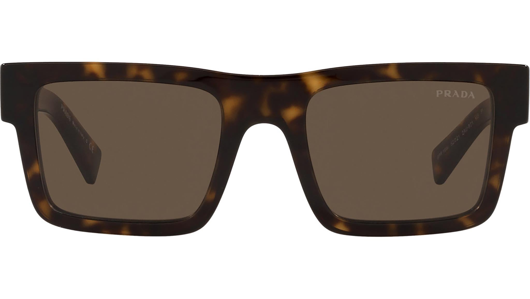 PR 19WS tortoise
