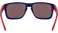 Holbrook XS OJ9007 05